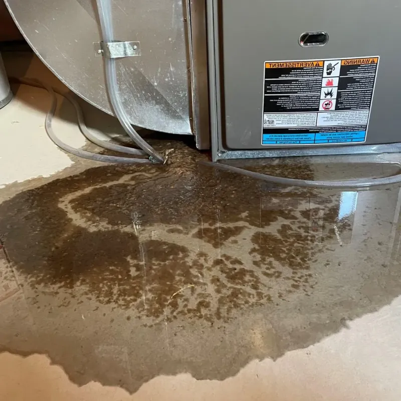 Pipe Burst and Leak Restoration in Kensington, NY